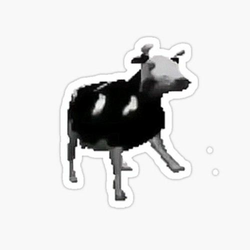 Polish Cow Vem Jogando A Xerequinha
