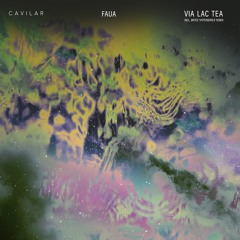 Faua - Via Lac Tea (Bryce 'Hyperborea' Remix)
