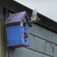 Summer Time Garage Anthems