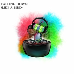 Falling Down (Like A Bird)