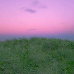 Why You So Beautiful (demo)