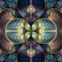 Transient Waves