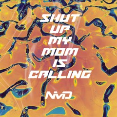 Shut Up My Moms Calling (NMD DnB Edit) FREE DL