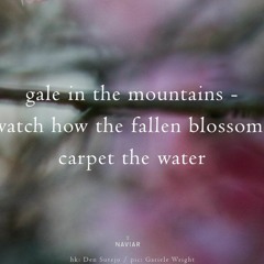 Mountain of Wind [naviarhaiku514 - gale in the mountains]