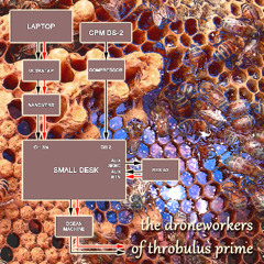 The Droneworkers of Throbulus Prime (23/08/2025)