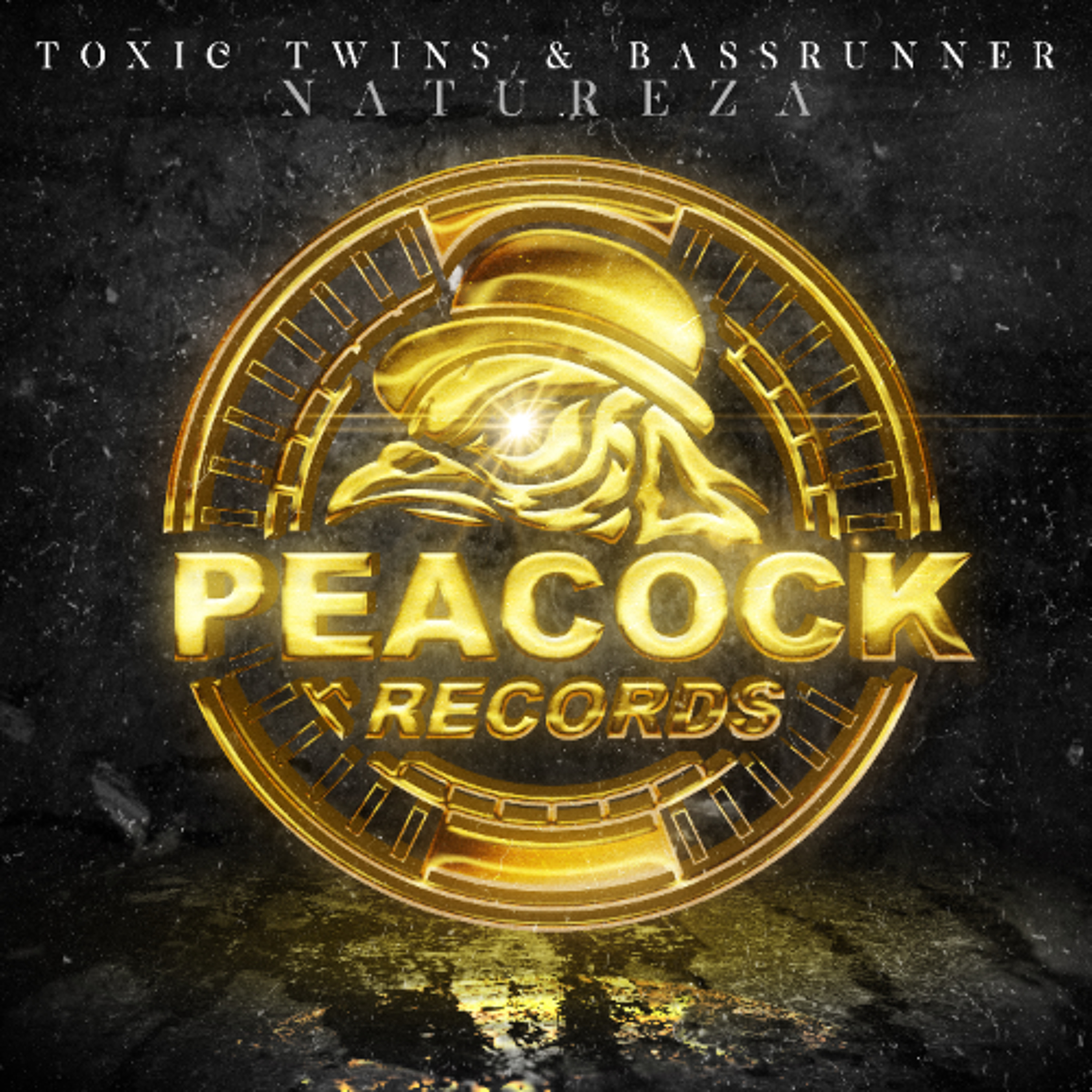 Toxic Twins & Bassrunner - Natureza