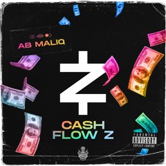 Cash Flow Z