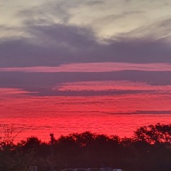 (NSW) Night Shift Workers