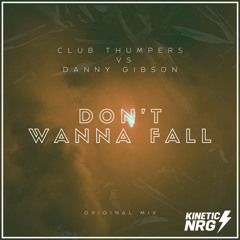 Don't Wanna Fall (Radio Edit)