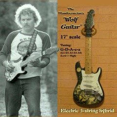 Blues In D - Jerry Rockwell & Niles Hokkanen