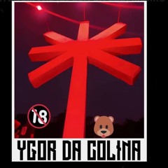 SHEIK MARTINS - PIVETE TEM FAL [DJ GEH DA LGD] 18