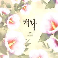 개화 (Bloom)