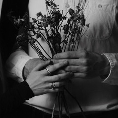 Рыбы не спят