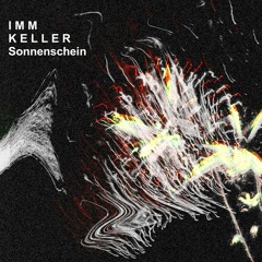 I M M  K E L L E R - Schnitzler Lebt ( from the album Sonnenschein )
