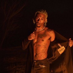 Hermès Link (snippet)