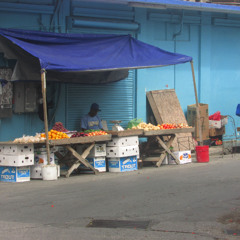 Routes & Branches & Beyond show # 387 2025 11 13