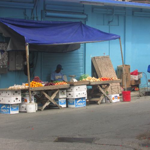 Routes & Branches & Beyond show # 387 2025 11 13