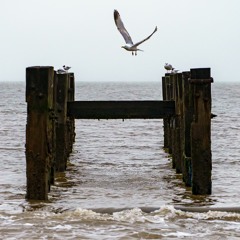 Ocean rise