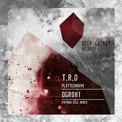 DGR081 T.R.O. - Plattegroove (cut)