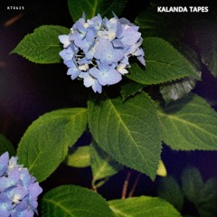 KALANDA TAPES 18 ( JUN 25 NEW RELEASES / deep / tech / minimal / dub )
