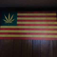 NEVER BEEN TO PARIS(DAMIEN DOLLA $).mp3