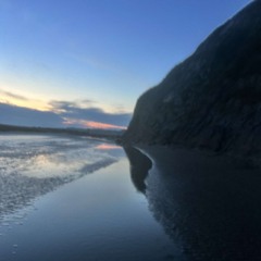 red cards ft Szys prod jfryy