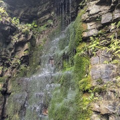 Lac Champlain (Live from the Adirondacks)