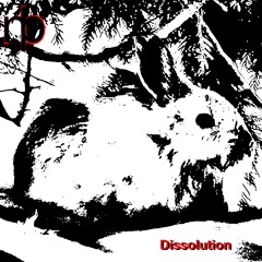 Dissolution