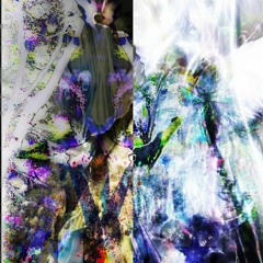 gutfeel1ng / bblushhh