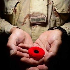 НА ПОЛЯХ ФЛАНДРІЇ ЗАЦВІВ РЯДКАМИ МАК ПО МЕЖ ХРЕСТІВ (In Flanders Fields)
