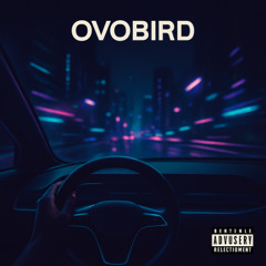 OVOBird