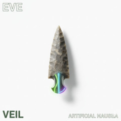 VEIL