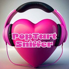 PopTartSniffer Funky House Demo