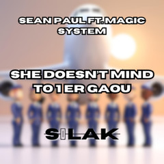 She Doesn't Mind to 1 er Gaou (Silak Transition)
