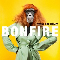 Bonfire (Total Ape Remix)