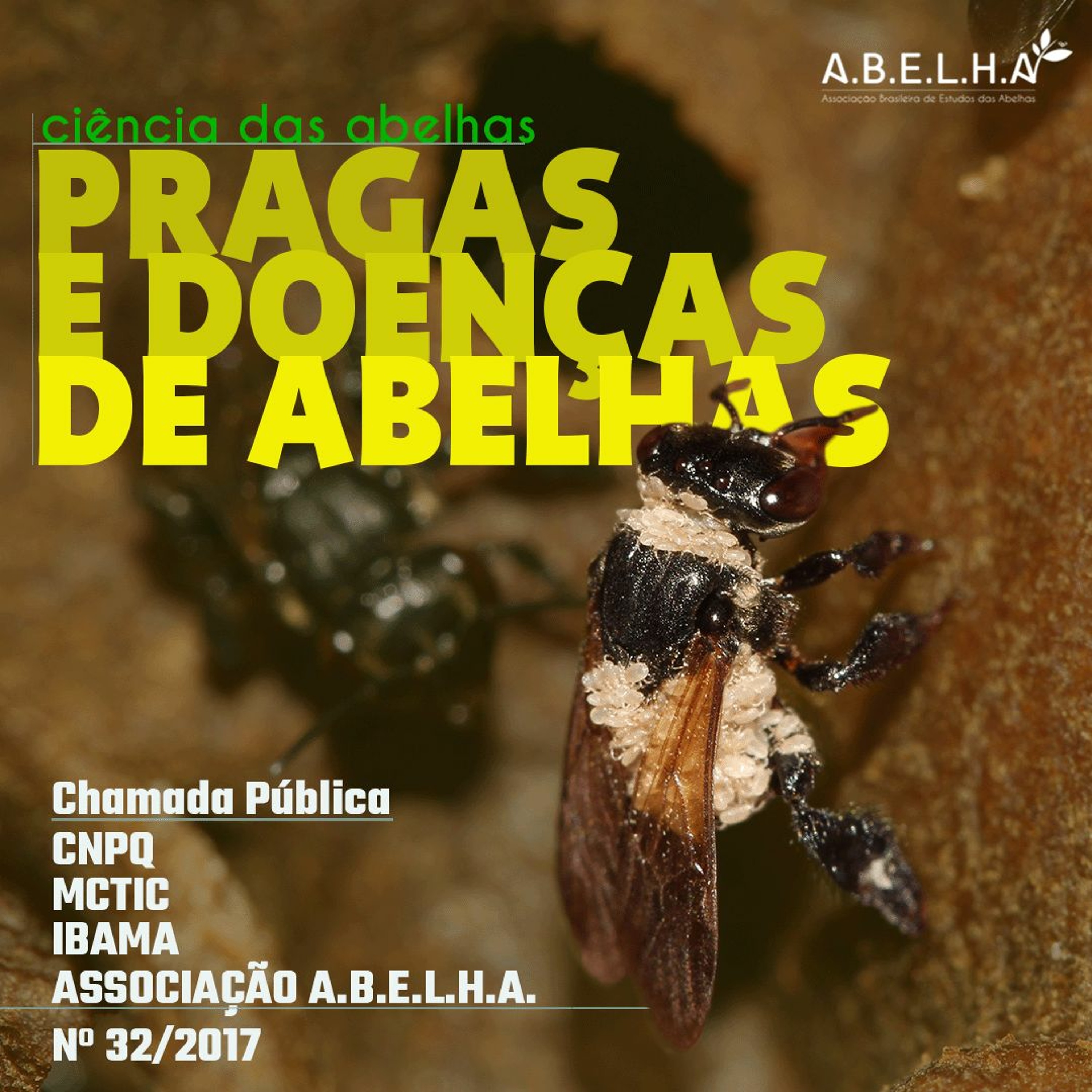 Podcast ABELHA