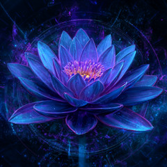 Sacred Lotus Vol. 2