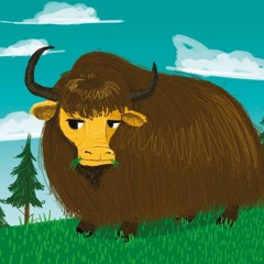 25 Yak