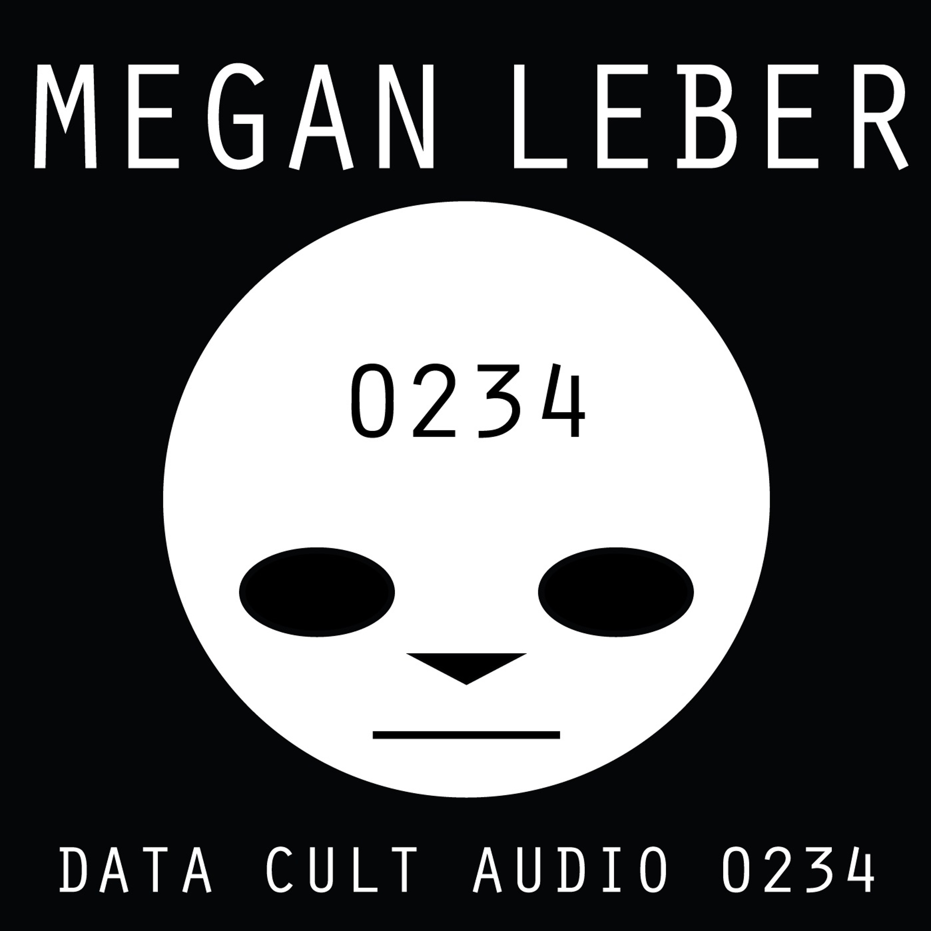 Data Cult Audio 0234 - Megan Leber