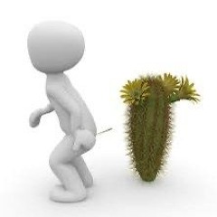 i got my ass pricked at cactus club