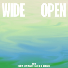 Wide Open (feat. Ta-ku & Masego) [Cabu & Ta-ku Remix]