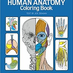 READ⚡️PDF❤️eBook Human Anatomy Coloring Book: an Entertaining and Instructive Guide to the Human Bod