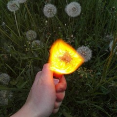 Tyga Stay In School - D Hxffman [SPV]