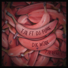 Dik Work (TJR Remix) [feat. DJ Funk]