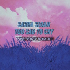 Sasha Sloan - Too Sad to cry (Trapwasp Remix)