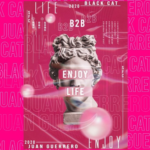 ENJOY LIFE B2B Juan Guerrero - Black Cat 2020