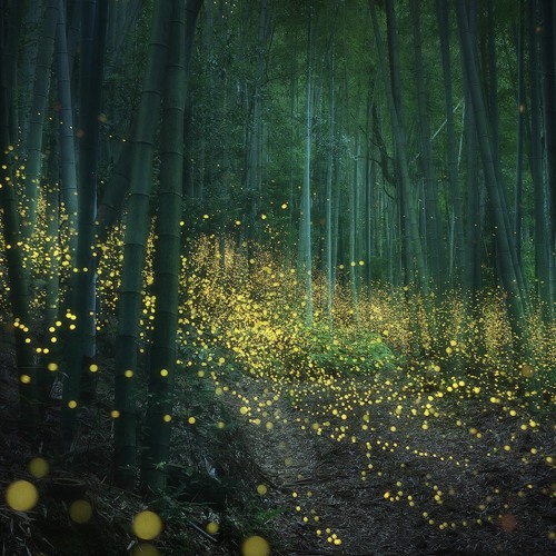 The Essentially House Selection 011 - ( The Emotional Retreat )