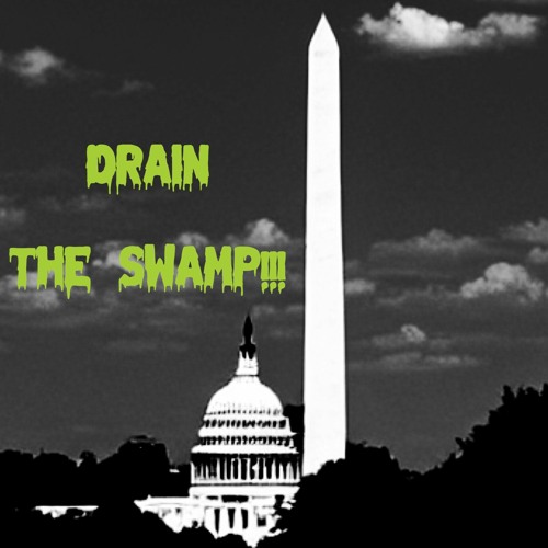 “Lincoln’s Eyes” [Mercury Rev cover]