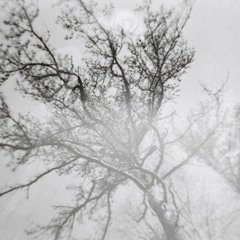 Spring Can Really Hang You Up the Most