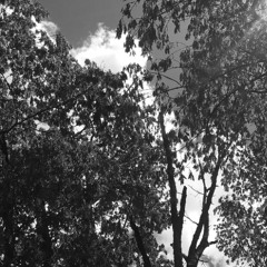 Poem Reading 01 ('The great sea')